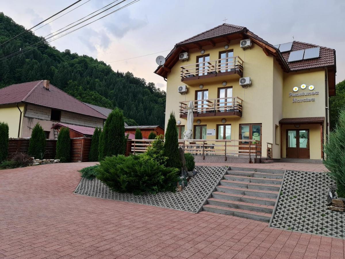 Pensiunea Narcisa Romuli Екстер'єр фото